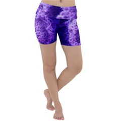 Dark Purple Closing Queen Annes Lace Lightweight Velour Yoga Shorts by okhismakingart