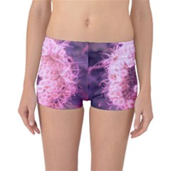 Pink Closing Queen Annes Lace Reversible Boyleg Bikini Bottoms by okhismakingart