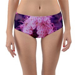 Pink Closing Queen Annes Lace Reversible Mid-waist Bikini Bottoms by okhismakingart