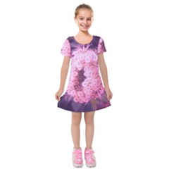 Pink Closing Queen Annes Lace Kids  Short Sleeve Velvet Dress