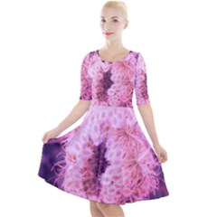 Pink Closing Queen Annes Lace Quarter Sleeve A-line Dress