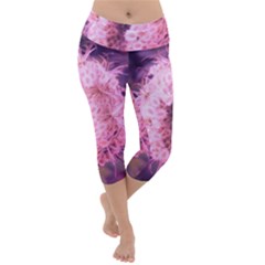 Pink Closing Queen Annes Lace Lightweight Velour Capri Yoga Leggings