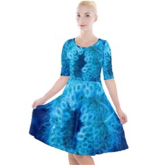 Blue Closing Queen Annes Lace Quarter Sleeve A-line Dress