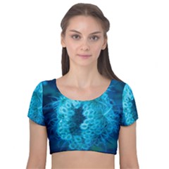 Blue Closing Queen Annes Lace Velvet Short Sleeve Crop Top 