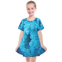 Blue Closing Queen Annes Lace Kids  Smock Dress