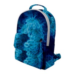 Blue Closing Queen Annes Lace Flap Pocket Backpack (large)