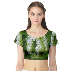 Green Closing Queen Annes Lace Short Sleeve Crop Top by okhismakingart