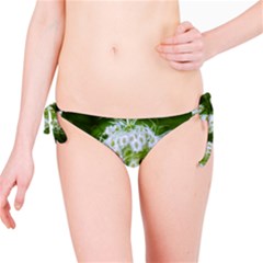 Green Closing Queen Annes Lace Bikini Bottom by okhismakingart