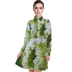 Green Closing Queen Annes Lace Long Sleeve Chiffon Shirt Dress