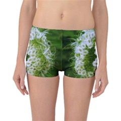 Green Closing Queen Annes Lace Boyleg Bikini Bottoms by okhismakingart