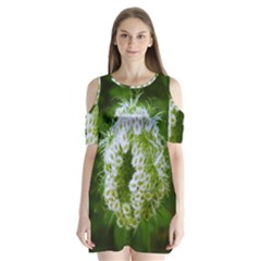 Green Closing Queen Annes Lace Shoulder Cutout Velvet One Piece by okhismakingart