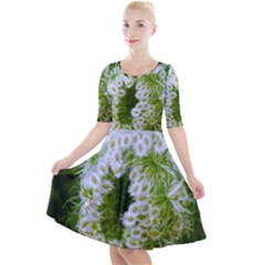 Green Closing Queen Annes Lace Quarter Sleeve A-line Dress