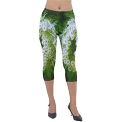 Green Closing Queen Annes Lace Lightweight Velour Capri Leggings 