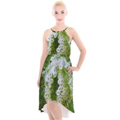 Green Closing Queen Annes Lace High-low Halter Chiffon Dress 