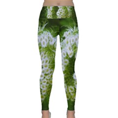 Green Closing Queen Annes Lace Lightweight Velour Classic Yoga Leggings