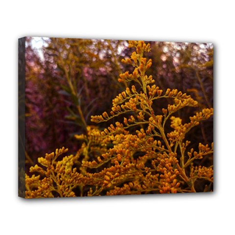 Goldenrod Version Ii Canvas 14  X 11  (stretched) by okhismakingart