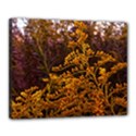 Goldenrod Version II Canvas 20  x 16  (Stretched) View1