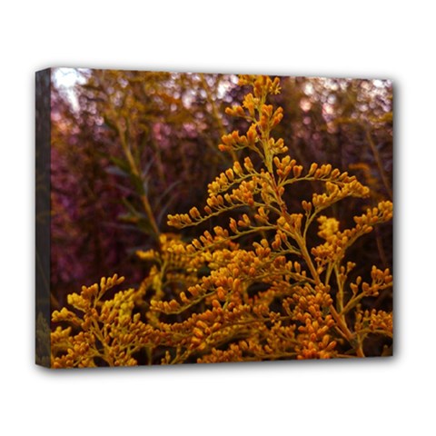 Goldenrod Version Ii Deluxe Canvas 20  X 16  (stretched) by okhismakingart