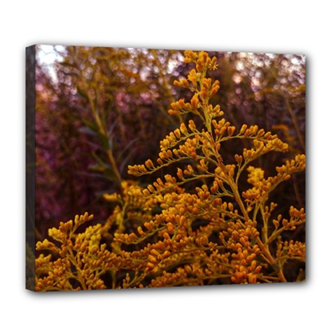 Goldenrod Version Ii Deluxe Canvas 24  X 20  (stretched) by okhismakingart