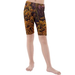 Goldenrod Version Ii Kids  Mid Length Swim Shorts by okhismakingart