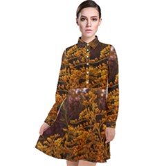 Goldenrod Version Ii Long Sleeve Chiffon Shirt Dress by okhismakingart