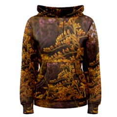 Goldenrod Version Ii Women s Pullover Hoodie by okhismakingart