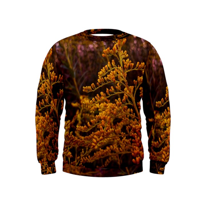 Goldenrod Version II Kids  Sweatshirt