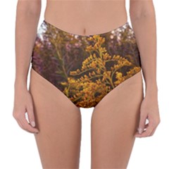 Goldenrod Version Ii Reversible High-waist Bikini Bottoms by okhismakingart