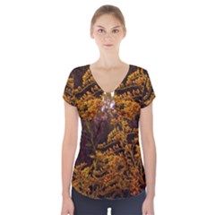 Goldenrod Version Ii Short Sleeve Front Detail Top by okhismakingart