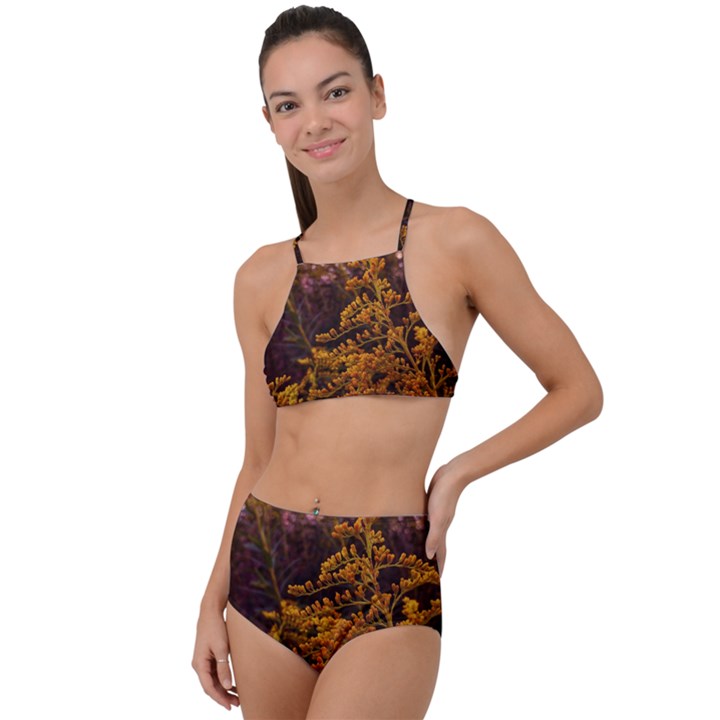 Goldenrod Version II High Waist Tankini Set