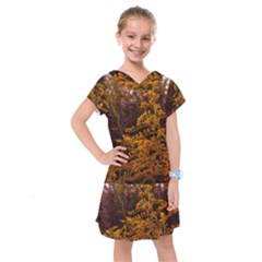 Goldenrod Version Ii Kids  Drop Waist Dress by okhismakingart