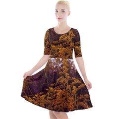 Goldenrod Version Ii Quarter Sleeve A-line Dress