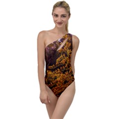 Goldenrod Version Ii To One Side Swimsuit