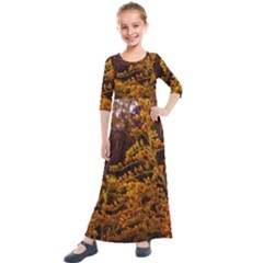 Goldenrod Version Ii Kids  Quarter Sleeve Maxi Dress by okhismakingart