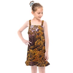 Goldenrod Version Ii Kids  Overall Dress