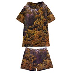 Goldenrod Version Ii Kids  Swim Tee And Shorts Set