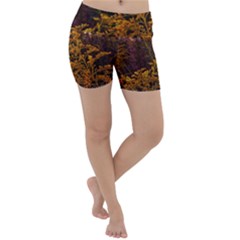 Goldenrod Version Ii Lightweight Velour Yoga Shorts by okhismakingart