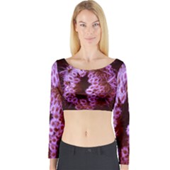 Purple Closing Queen Annes Lace Long Sleeve Crop Top by okhismakingart