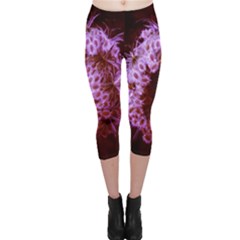 Purple Closing Queen Annes Lace Capri Leggings  by okhismakingart