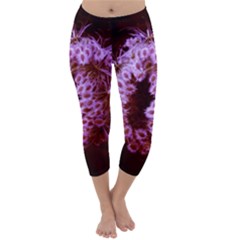 Purple Closing Queen Annes Lace Capri Winter Leggings  by okhismakingart