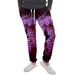 Purple Closing Queen Annes Lace Men s Jogger Sweatpants