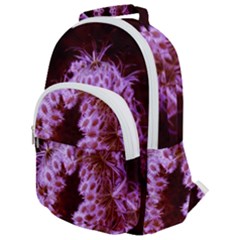 Purple Closing Queen Annes Lace Rounded Multi Pocket Backpack