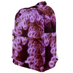 Purple Closing Queen Annes Lace Classic Backpack