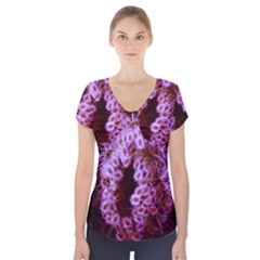 Purple Closing Queen Annes Lace Short Sleeve Front Detail Top by okhismakingart