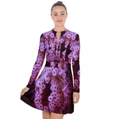 Purple Closing Queen Annes Lace Long Sleeve Panel Dress by okhismakingart