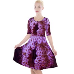 Purple Closing Queen Annes Lace Quarter Sleeve A-line Dress