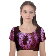 Purple Closing Queen Annes Lace Velvet Short Sleeve Crop Top  by okhismakingart