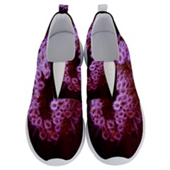 Purple Closing Queen Annes Lace No Lace Lightweight Shoes