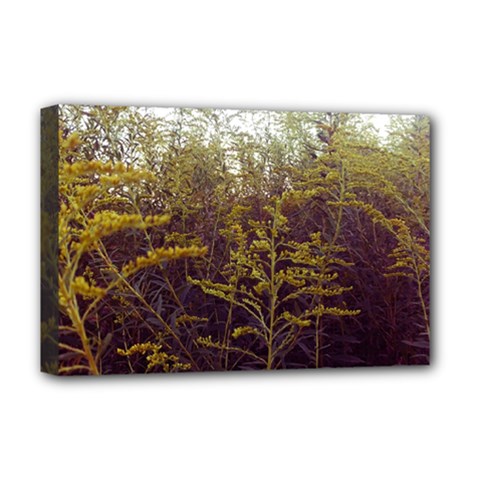 Purple And Yellow Goldenrod Deluxe Canvas 18  X 12  (stretched) by okhismakingart