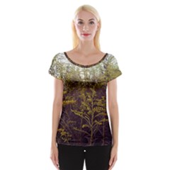 Purple And Yellow Goldenrod Cap Sleeve Top by okhismakingart